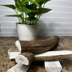 Elk Antler Dog Chews 