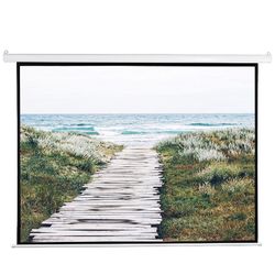 Vivo 100 Inch Electric Projector Screen