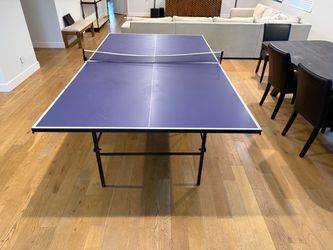 Ping Pong Table