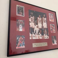 Chicago Bulls Michael Jordan 1(contact info removed) Commemorative Tribute Frame 20x16" 