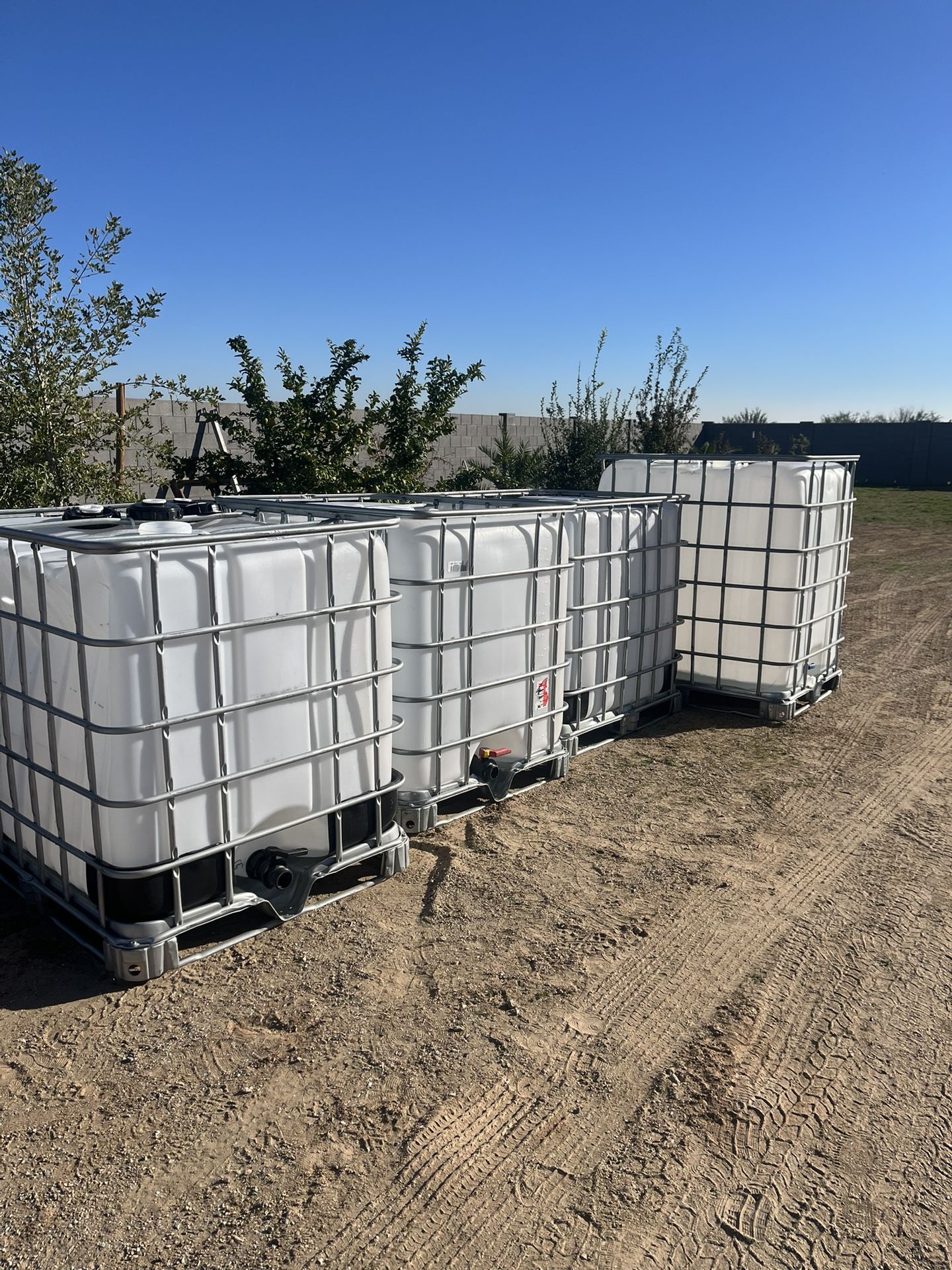 Water Tote “ Tank”