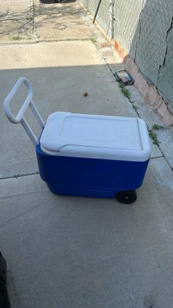 Igloo Cooler