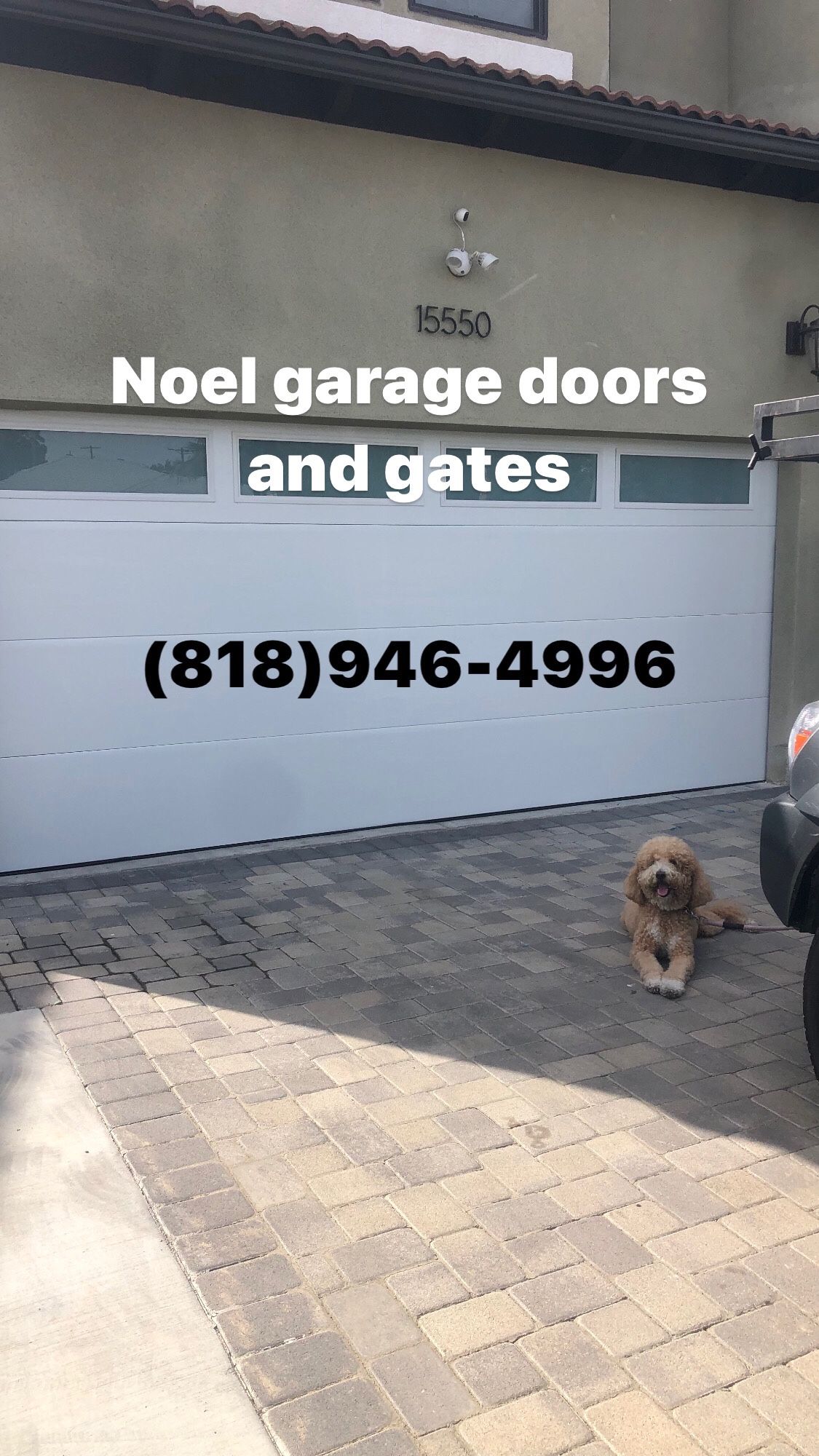 Garage Door/ Springs / Motor/ Noel