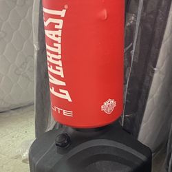 Everlast Standing Punching Bag