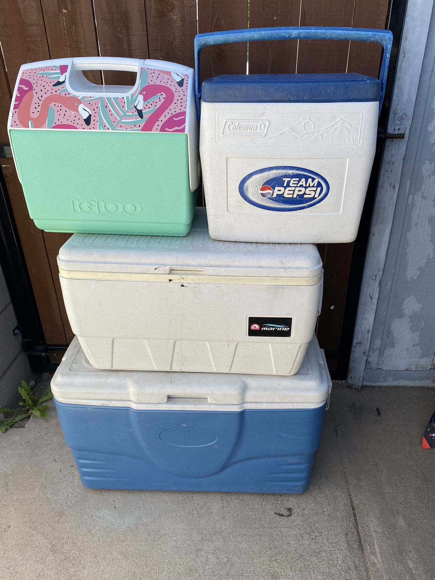 ice Coolers 
