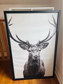 Buck Print