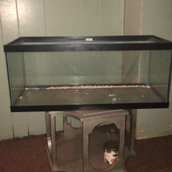 Fish Tank