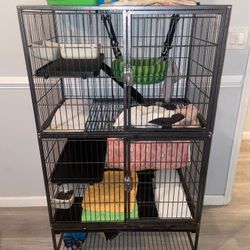 Cage Ferret 