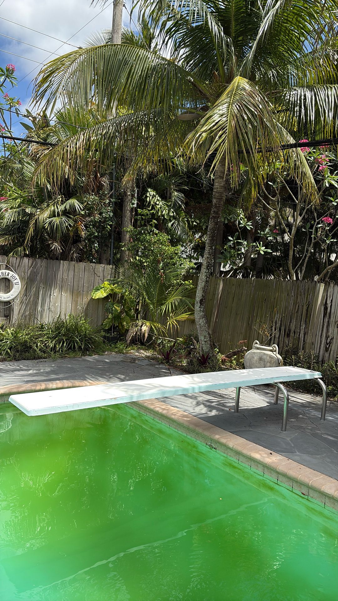 Diving Board 12’