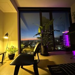 Eames Molded Plywood Chairs (dupes) in Black