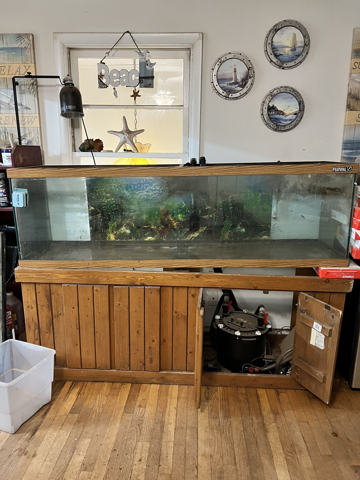 125 Gallon Fish Tank