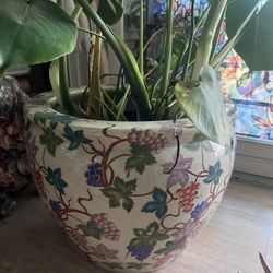 Big Vase