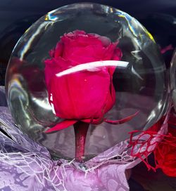 LAST CALL: Mother's Day "Forever" Roses!