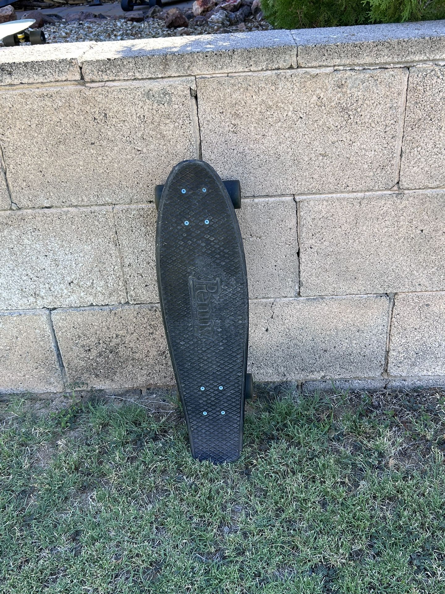Penny Board Skateboard