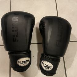 Boxing Gloves 16oz