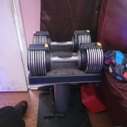 Golds Gym 10-50 Lb Adjustable Dumbbells