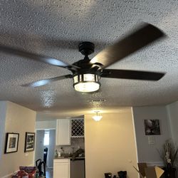 🧐Mount Your Ceiling Fans🥸