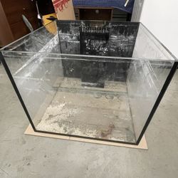 Saltwater Fish Tank Or Freshwater