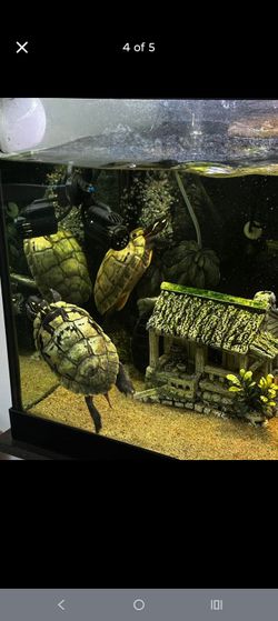Fish tank