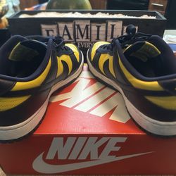 Nike Dunk Michigan 12