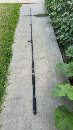 Daiwa Beef Stick 10 footer