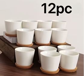 12 pc set of white ceramic succulent pots with bamboo trays