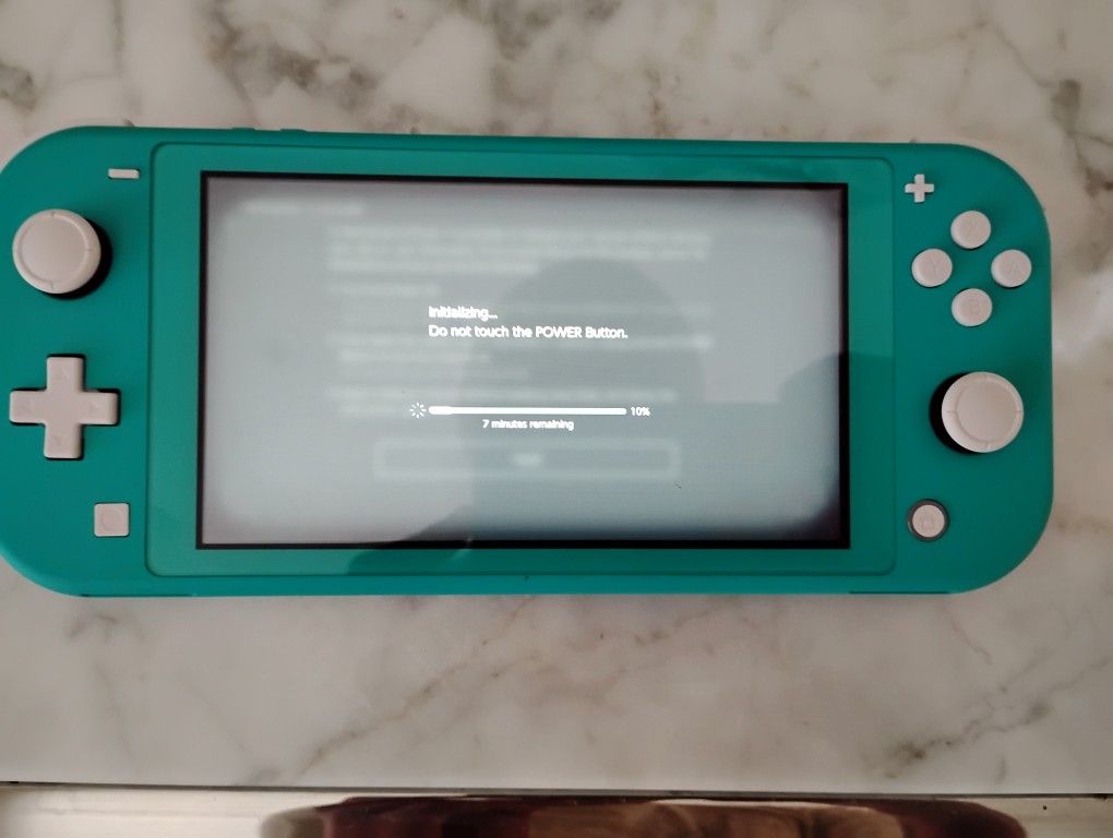 Nintendo Switch Lite With Charger