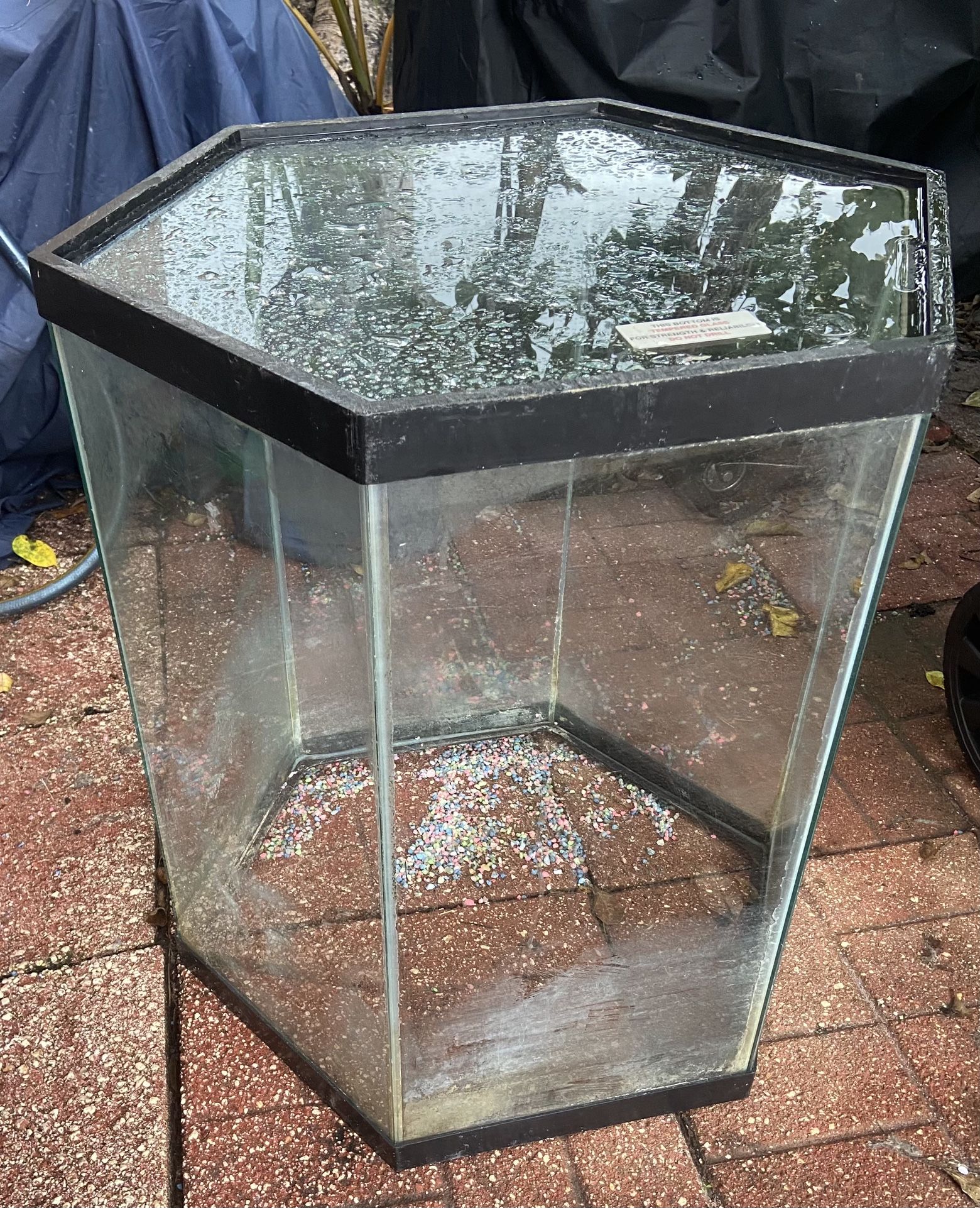 Hexagon fish tank