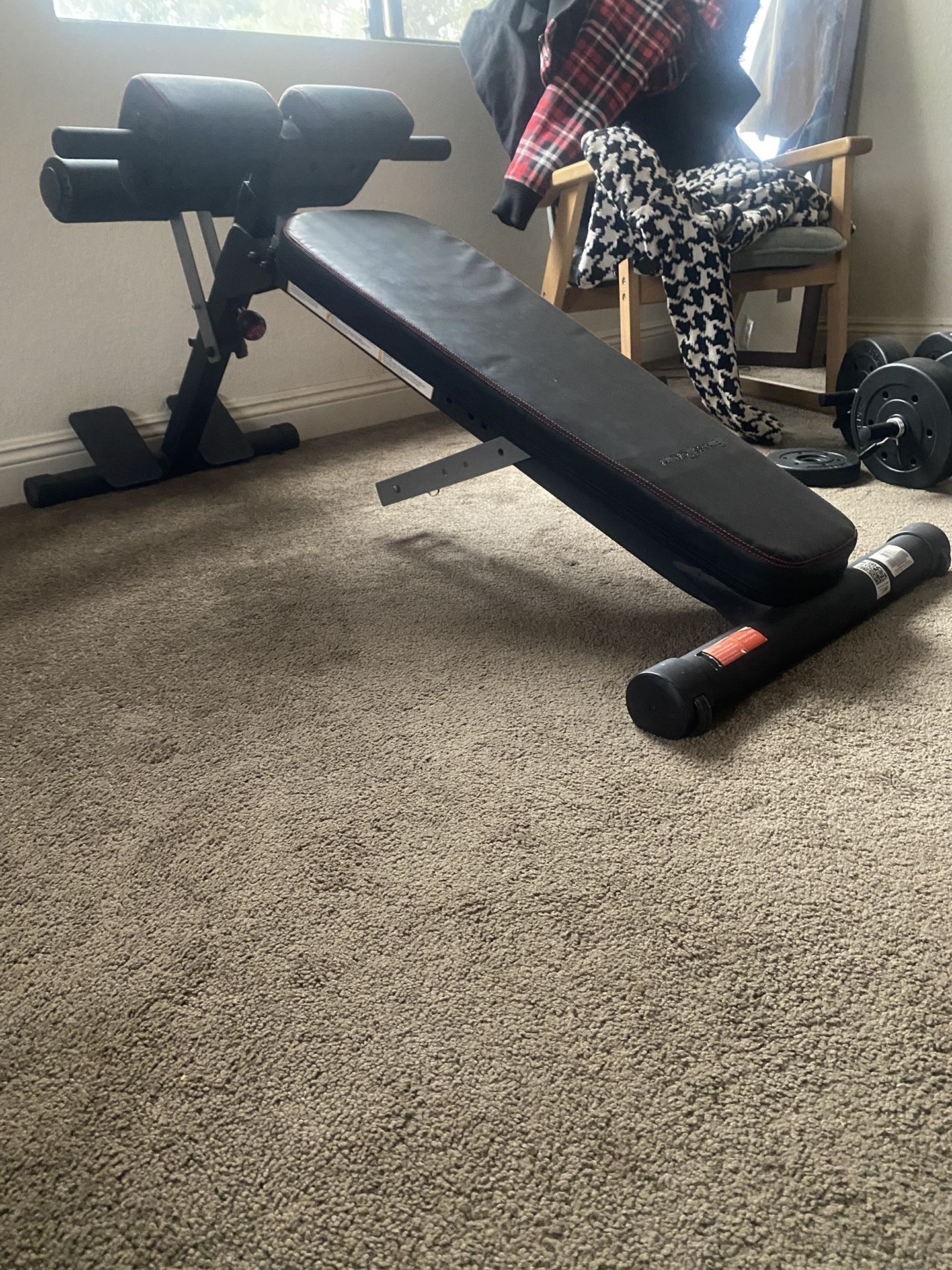 Weights and Bench
