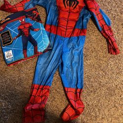 Spider Man Small (4-6)