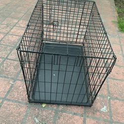 Cage $45