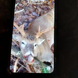Samsung Galaxy S22 5G 