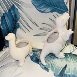 Dinosaur Plant Holders