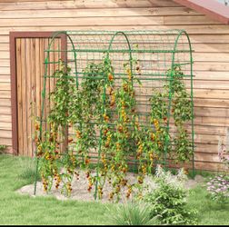 Metal Garden Trellis