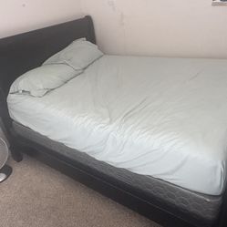 Bed Frame ( Mattress Optional) 