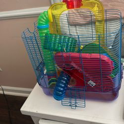 Gerbil Cage