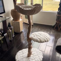 Rarely used! Cat tree