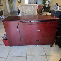 Cabinet Office Filing Pullout Desktop