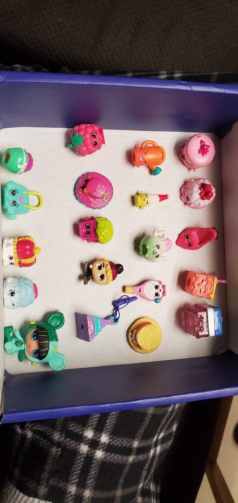 Shopkins Figures & Collectable Case