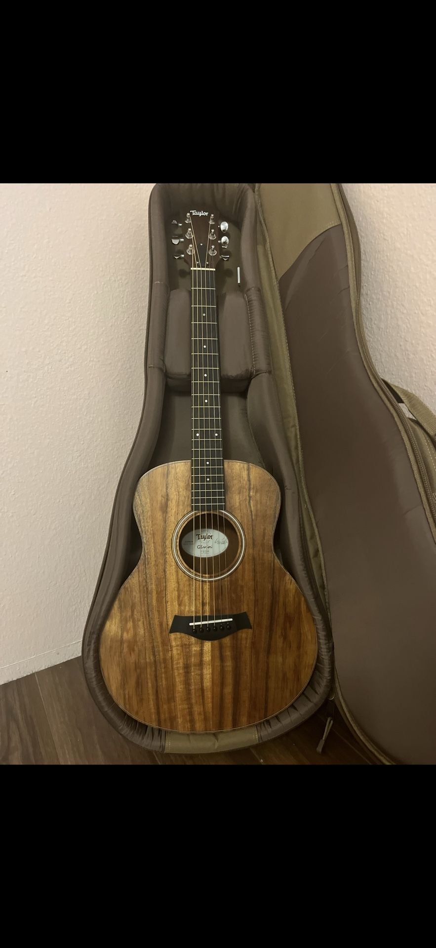 Taylor Mini