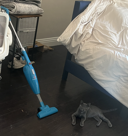 Brand new vaccum cleaner