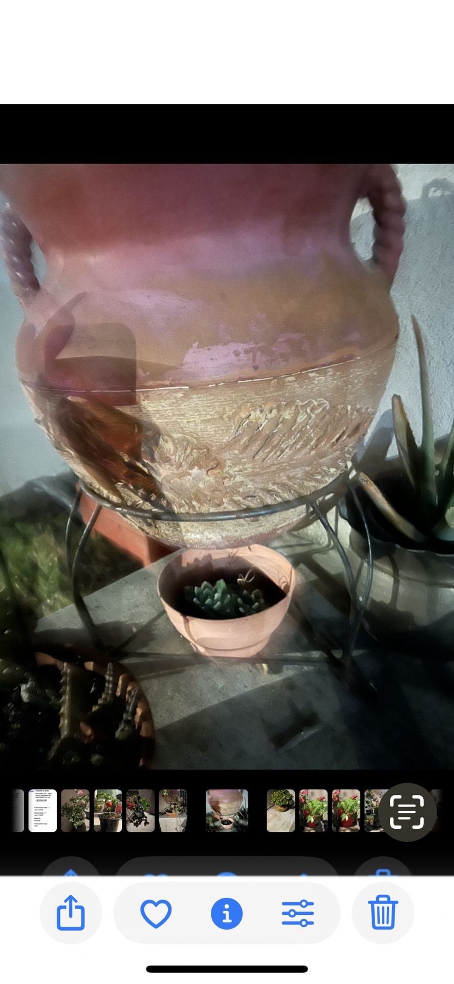 Plants Lovee I Have To move