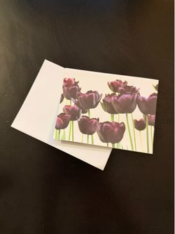 Blank Scented Greeting Cards - Tulips