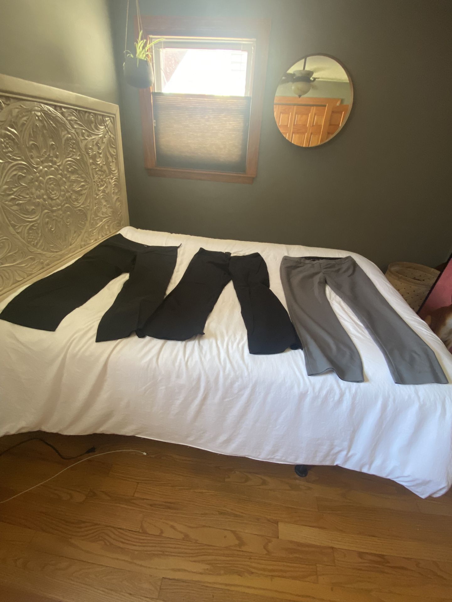 Women’s Pants