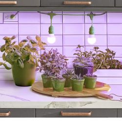 4 Pack Miricle LED Grow Light Kit $100