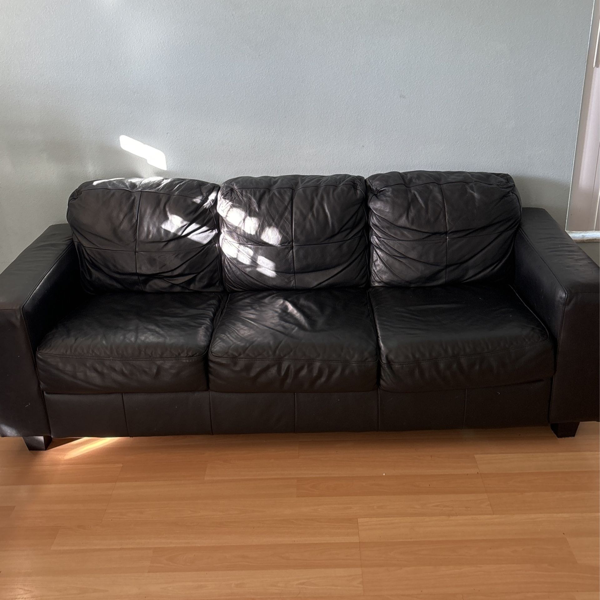 Leather Composite Couch