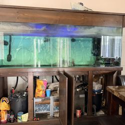 220 Gallon Glass Aquarium