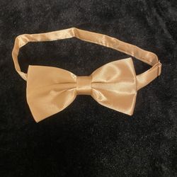 Bow Tie (pre-tied)