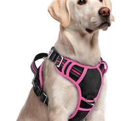 Dog Harness Pink/black