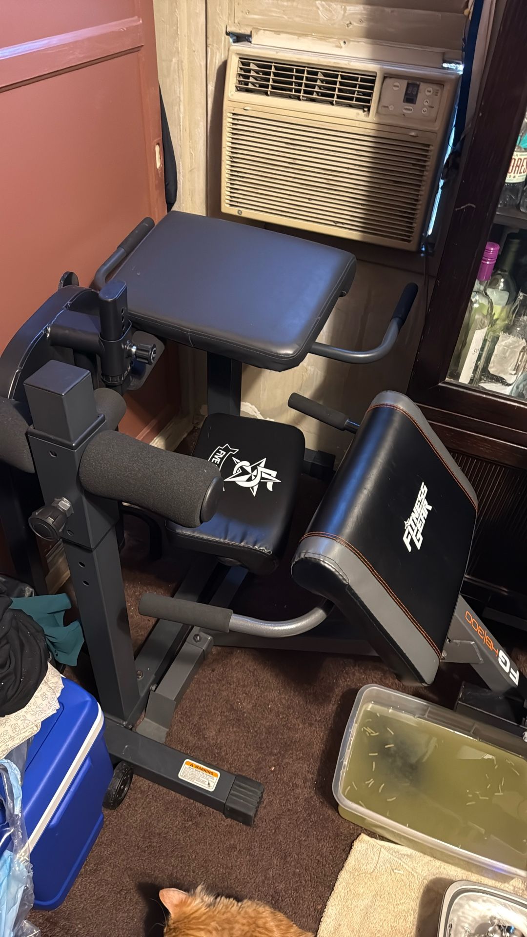 Two Back Machine Extension An Sissy Squat Machine All Together